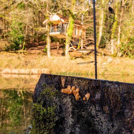 Finest Retreats - The Tree House - Eco-Friendly, Back To Nature Experience Germansweek Zewnętrze zdjęcie