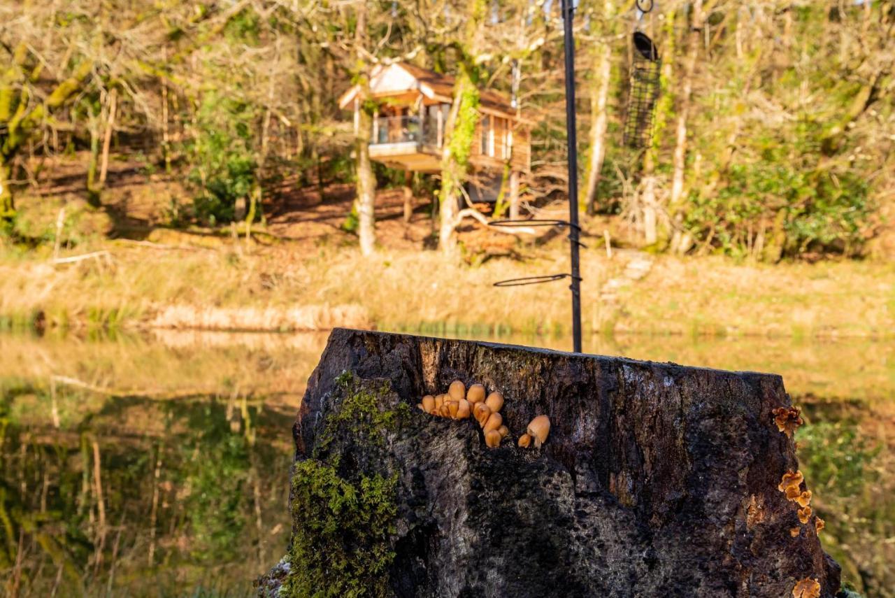 Finest Retreats - The Tree House - Eco-Friendly, Back To Nature Experience Germansweek Zewnętrze zdjęcie