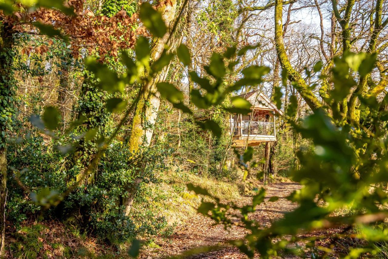 Finest Retreats - The Tree House - Eco-Friendly, Back To Nature Experience Germansweek Zewnętrze zdjęcie